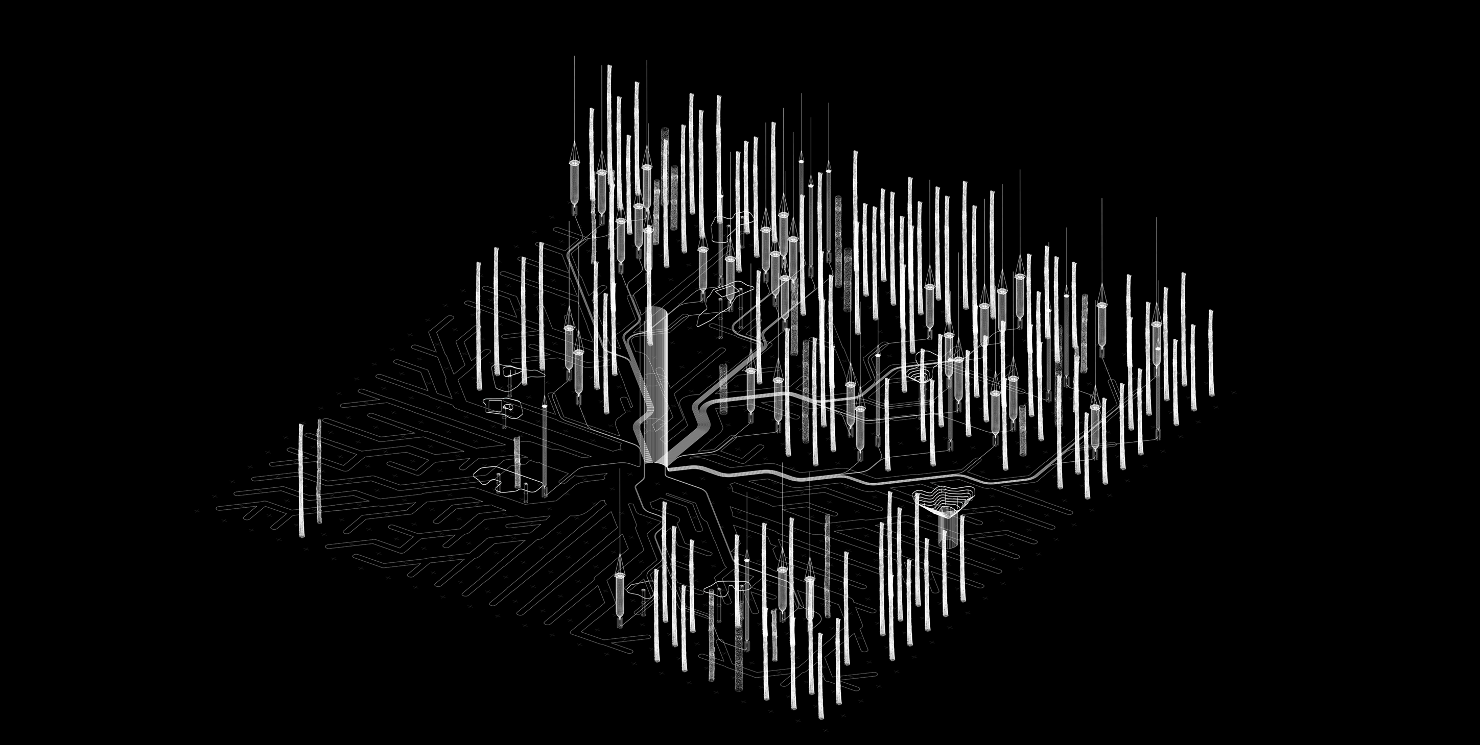 Deep Forest Image 3